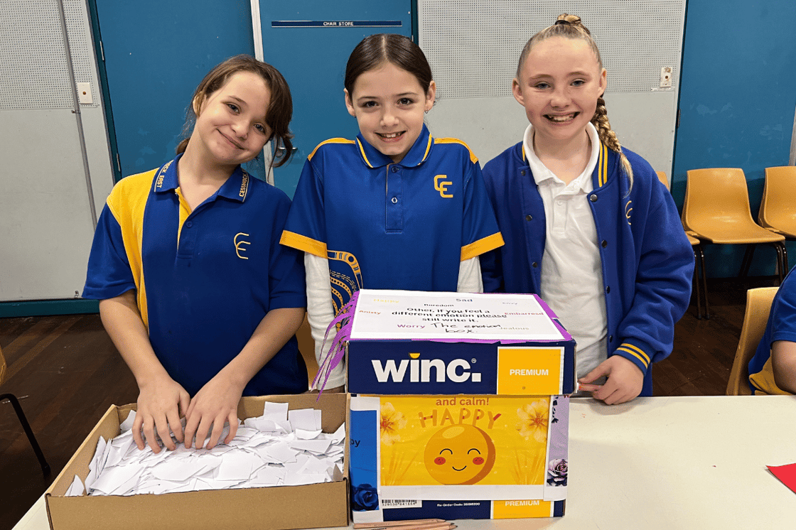 Mentally Fit Primary Schools Student Voice Project